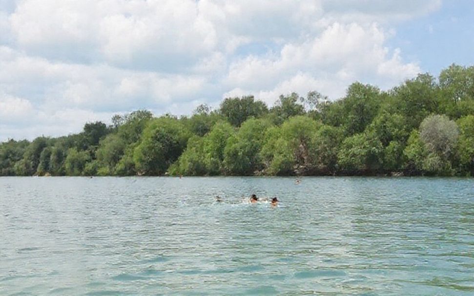 The Truth About Lake Austin’s Secret Swimming Spots You’ve Never Heard Of*