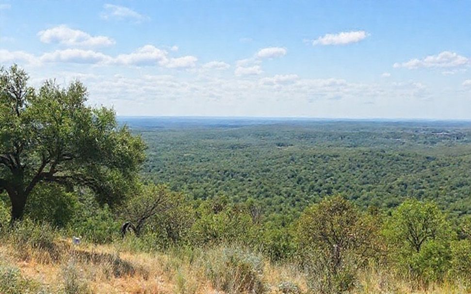 Why Locals and Visitors Alike Keep Coming Back to Cawoods Austin*