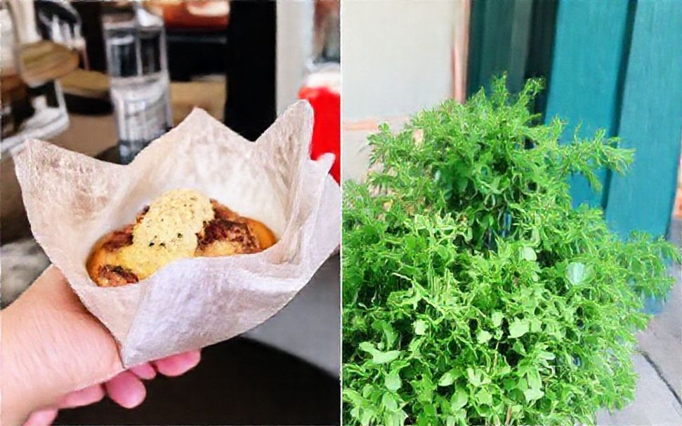 X Unexpected Eateries You’ll Love on Burnet Street*