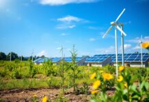 Innovative Solar Energy Projects Illuminating Local Communities