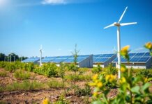 Innovative Solar Energy Projects Illuminating Local Communities